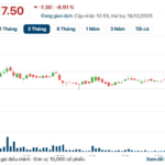 QCG Stock Plunges to Floor After 4 Consecutive Ceiling Sessions