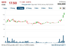 QCG Stock Plunges to Floor After 4 Consecutive Ceiling Sessions
