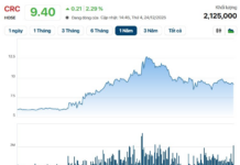 Individual Fined $63,000 for Stock Manipulation, Eight Banned from Trading for Complicity