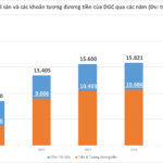 DGC Holds VND 13 Trillion in Cash: Is Real Estate or Chemicals the Ace Up the Phosphate King’s Sleeve?