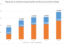 DGC Holds VND 13 Trillion in Cash: Is Real Estate or Chemicals the Ace Up the Phosphate King’s Sleeve?