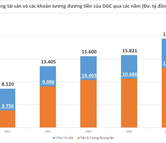 DGC Holds VND 13 Trillion in Cash: Is Real Estate or Chemicals the Ace Up the Phosphate King’s Sleeve?