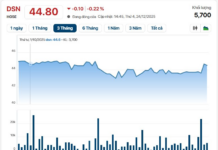 Rivals of Nguyen Phuong Hang’s Dai Nam Tourism Complex Prepare to Pay High Cash Dividends