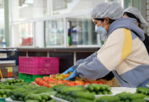 Skyrocketing Prices of Fruits and Vegetables