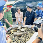 Smuggling Surge: The Rising Tide of Maritime Illicit Trade