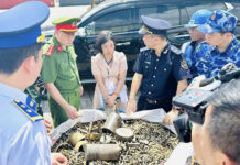 Smuggling Surge: The Rising Tide of Maritime Illicit Trade