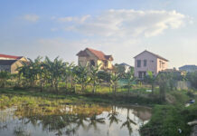 Quang Tri: 1,500m² of Land to be Reclaimed from Former Ward Secretary’s Family, Rented at 500,000 VND/Year