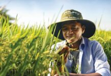 Accelerating Green Transformation, Enhancing Transparency, and Amplifying Community Value: DPM’s Blueprint for Sustainable Development