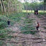 Dong Nai: Criticism Directed at the People’s Committees of Dong Tam, Tan Loi, and Nghia Trung Communes