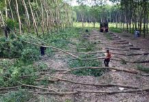 Dong Nai: Criticism Directed at the People’s Committees of Dong Tam, Tan Loi, and Nghia Trung Communes