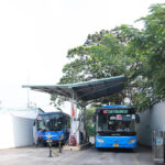 TPHCM’s Near-500 Bus Fleet at Risk of Shutdown Due to Gas Shortage: What Are Businesses Saying?
