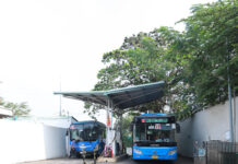 TPHCM’s Near-500 Bus Fleet at Risk of Shutdown Due to Gas Shortage: What Are Businesses Saying?
