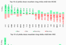 Foreign Block’s Sell-Off Plummets, VN-Index Closes Month at All-Time High