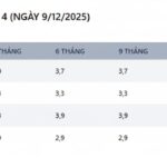 Maximize Your Savings: Compare Top Interest Rates at Agribank, BIDV, Vietcombank, and VietinBank