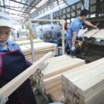 Forestry 2025: Overcoming Challenges, Preserving Forests, Achieving High Growth