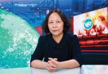 Tax Expert: In a Household, If the Husband Produces Beans and the Wife Sells Them at the Market, Each is Considered a Separate Business Entity