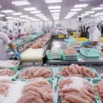 Seafood Exports Poised to Set New Record in 2025