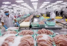 Seafood Exports Poised to Set New Record in 2025