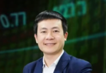 December Dilemma: Strategic Moves for Investors in the Information Void