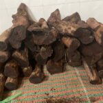 Log Traders Rush to Buy Rare Wood at $127/kg: Quang Tri Forest Rangers Step In