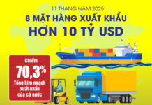 Conquering the Global Market: 8 Vietnamese Export Industries Surpassing $10 Billion USD