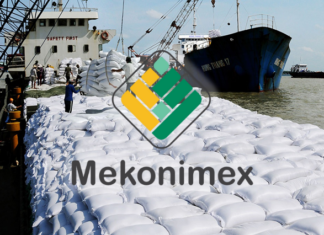 SCIC Launches Another Auction for 98.31% Stake in Mekonimex, Aiming to Raise VND 295 Billion