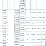 Who Purchased the 30 Million Individual Shares of the Greenhill Village Project Developer Formerly Linked to Truong My Lan?