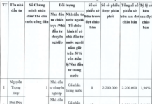 Who Purchased the 30 Million Individual Shares of the Greenhill Village Project Developer Formerly Linked to Truong My Lan?