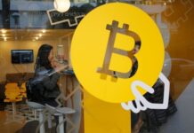 Revisiting the World in 2025: A Turning Point for the Global Digital Currency Market