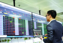 Stock Market Reaches New Highs, Investors Celebrate Early Christmas Gifts