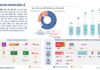Local Retailers Dominate the Domestic Market: Holding 81% of Modern Retail Stores, Outshining Japanese, Thai, and Korean Giants