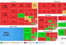 Market Pulse 12/16: Spectacular Comeback as VN-Index Surges Over 30 Points