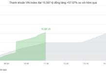 Market Pulse 12/22: Green Wave Spreads, VN-Index Surges Over 46 Points