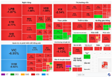 Market Pulse 12/25: What Caused the VN-Index to Swiftly Slip Below the 1,800 Mark?