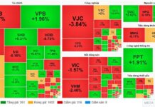 Market Pulse 30/12: Afternoon Rally Reverses the Trend