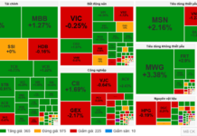 Market Pulse 03/12: Foreign Investors Maintain Net Buying, Capital Flows Back to Financial Sector