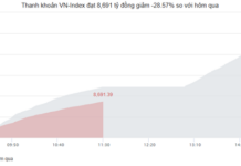 Market Pulse 12/05: Foreign Investors Resume Net Selling of Blue-Chip Stocks, VIC Keeps VN-Index in the Green