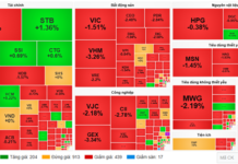 Market Pulse 12/12: Over 660 Stocks Decline, VN-Index Plunges Another 52 Points