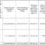 Novaland to Issue 163.6 Million Shares in Debt Swap for Two Chairman Bùi Thành Nhơn-Affiliated Companies