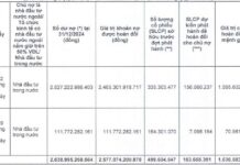 Novaland to Issue 163.6 Million Shares in Debt Swap for Two Chairman Bùi Thành Nhơn-Affiliated Companies