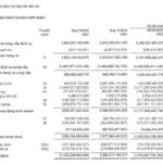 Novaland Plans to Issue Nearly 164 Million Shares for Debt Swap with Companies Owned by Mr. Bui Thanh Nhon and His Wife