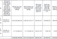 Novaland Seeks $430 Million Green Loan for Sustainable Development Over 5 Years