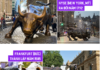 The Iconic “Bull and Bear” Statues: A Global Symbol of Stock Markets