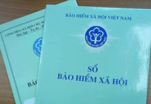 Nearly 18,000 Businesses in Ho Chi Minh City Owe Social Insurance Contributions for Employees