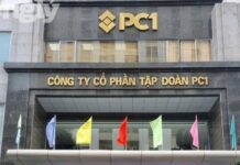 Daughter of PC1 Group Chairman Trịnh Văn Tuấn Completes Acquisition of 4 Million PC1 Shares