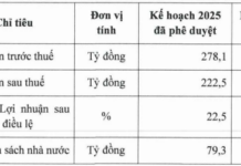 PV GAS D Revises Profit Plan Downward as Year-End Approaches
