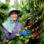 Circular Economy: The Driving Force Behind the Green Transformation