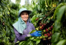 Circular Economy: The Driving Force Behind the Green Transformation