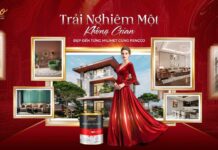 Pencco Paint: “Beauty Down to the Millimeter” – Redefining Modern Design Standards