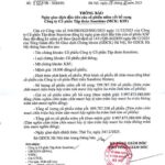 Sunshine Group’s Additional 600 Million Shares to Begin Trading on December 24th